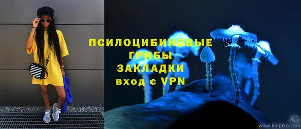 сатива Белоозёрский