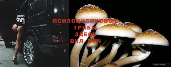 первитин Белокуриха