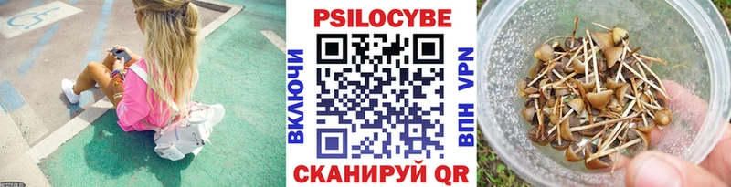 Псилоцибиновые грибы мицелий  KRAKEN вход  Верещагино  цена наркотик 